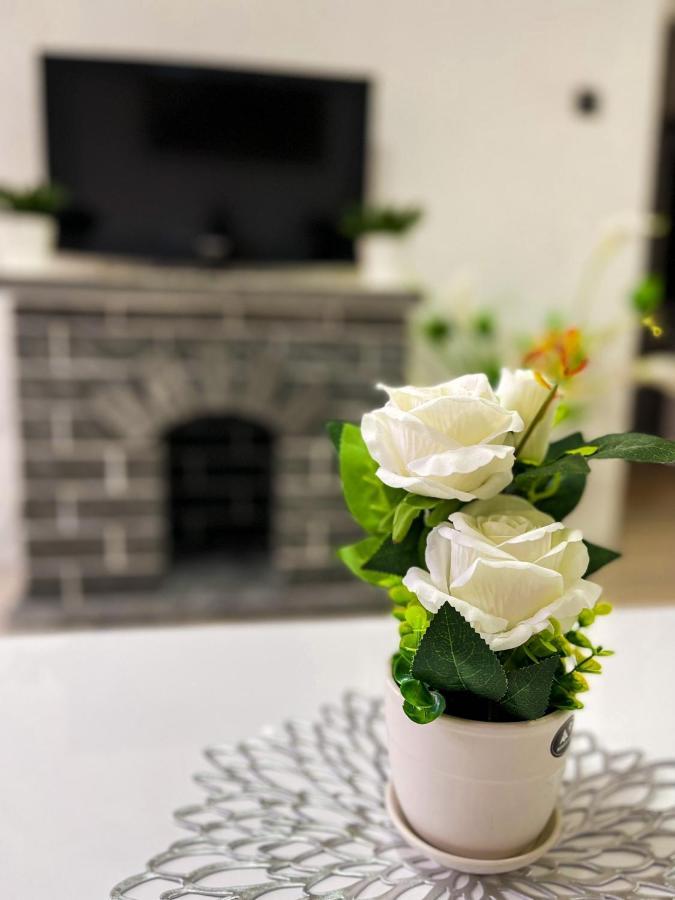Apartment Tatjana Kragujevac Zewnętrze zdjęcie