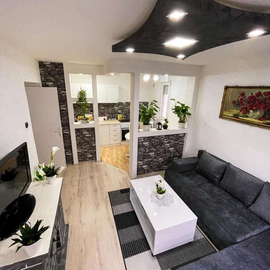 Apartment Tatjana Kragujevac Zewnętrze zdjęcie