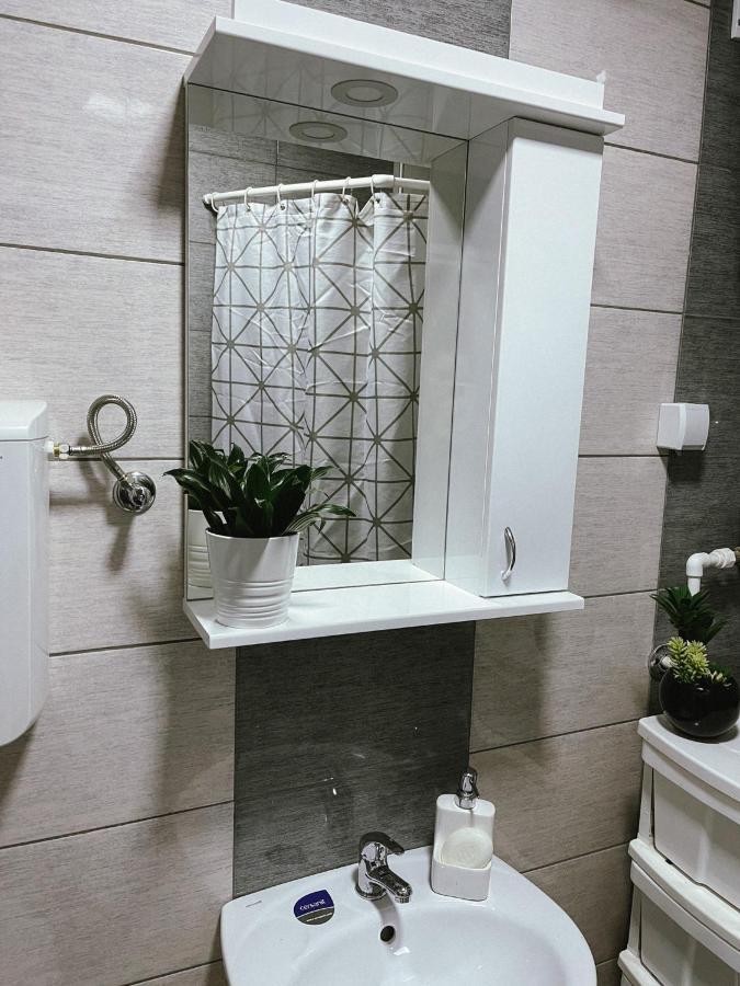 Apartment Tatjana Kragujevac Zewnętrze zdjęcie