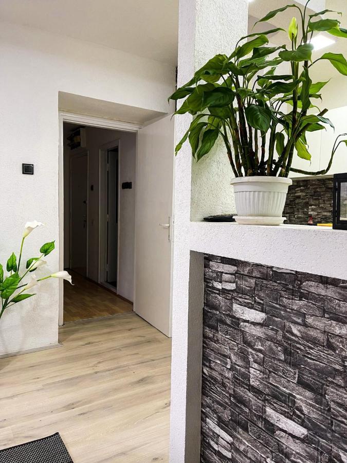 Apartment Tatjana Kragujevac Zewnętrze zdjęcie