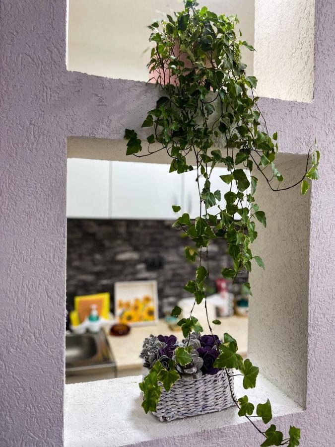 Apartment Tatjana Kragujevac Zewnętrze zdjęcie