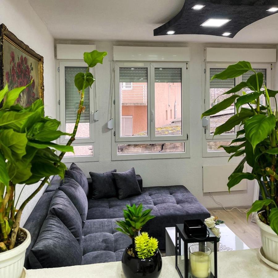 Apartment Tatjana Kragujevac Zewnętrze zdjęcie