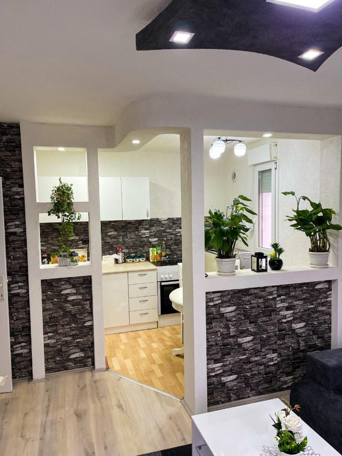 Apartment Tatjana Kragujevac Zewnętrze zdjęcie